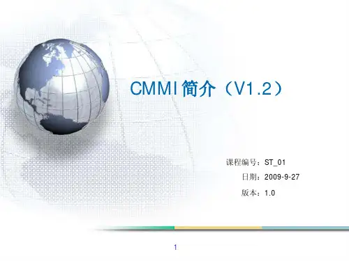 CMMI详解 精髓