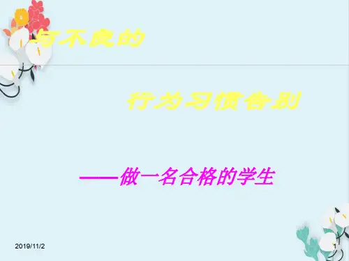 与不良的行为习惯告别  主题班会