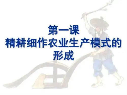 1精耕细作农业生产模式的形成5好_图文.ppt