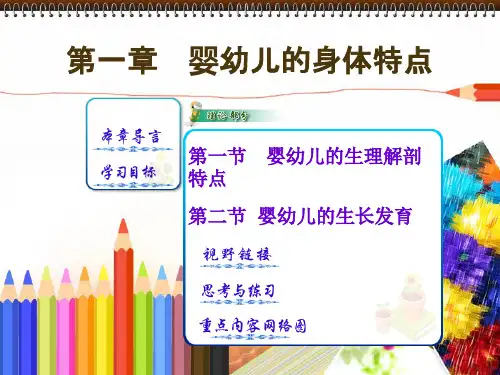 幼儿卫生学一婴幼儿的身体特点PPT课件