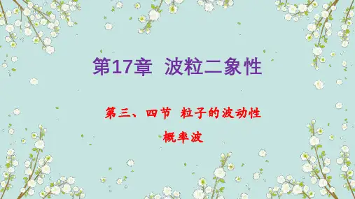 第十七章 波粒二象性(第三、四节)-山东省栖霞市第二中学人教版高中物理选修3-5课件 (共20张PPT)