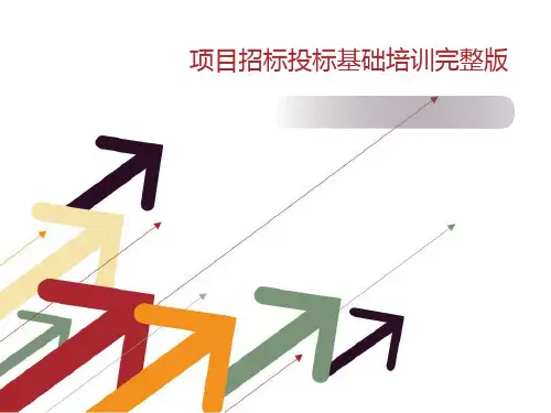 项目招标投标基础培训完整版