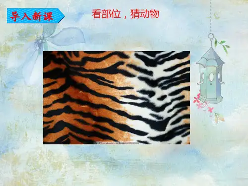 部编版语文二年级上册《拍手歌》课件