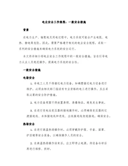 电业安全工作规程：一般安全措施