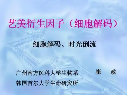 艺美衍生因子