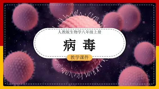 初中生物人教版八年级上册《55病毒》课件