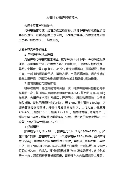 大棚土豆高产种植技术