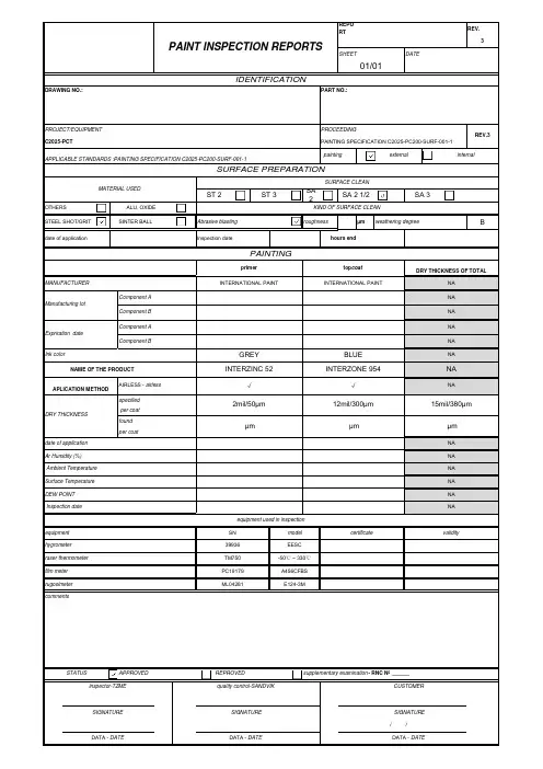 涂装报告格式模板中英文对照