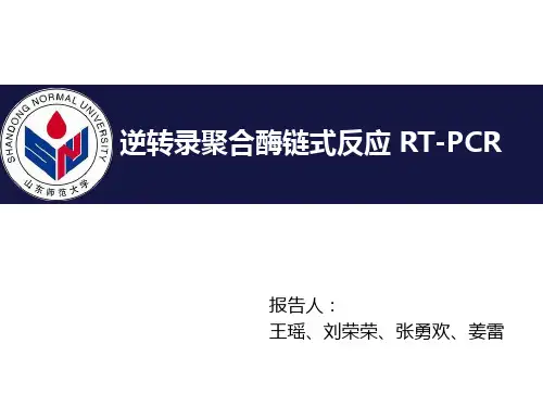 RT-PCR