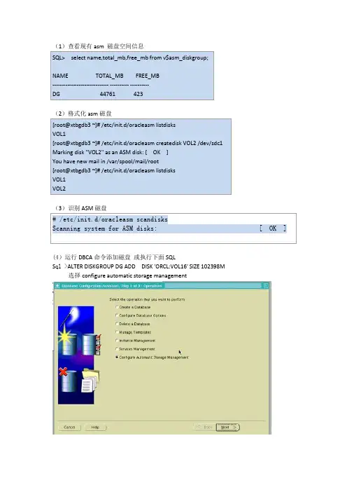 ORACLE ASM添加新磁盘