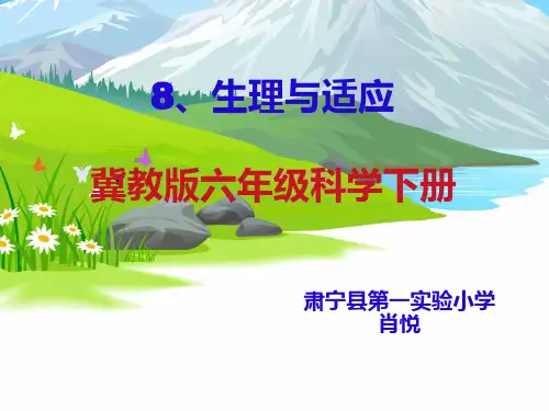 冀教版六年级科学下册生理与适应