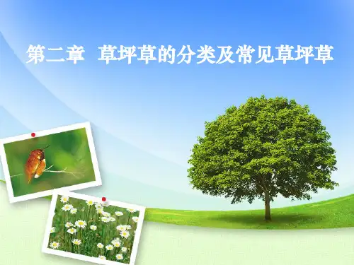 第二章 草坪草的分类及常见草坪草精品PPT课件