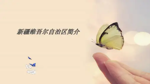 新疆维吾尔自治区简介