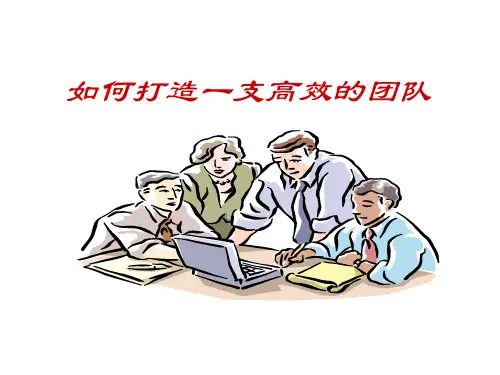 如何打造一支高效的团队 (1)