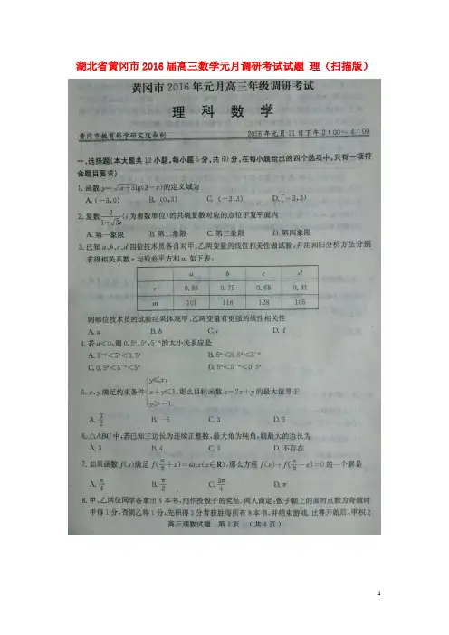 湖北省黄冈市高三数学元月调研考试试题 理(扫描版)
