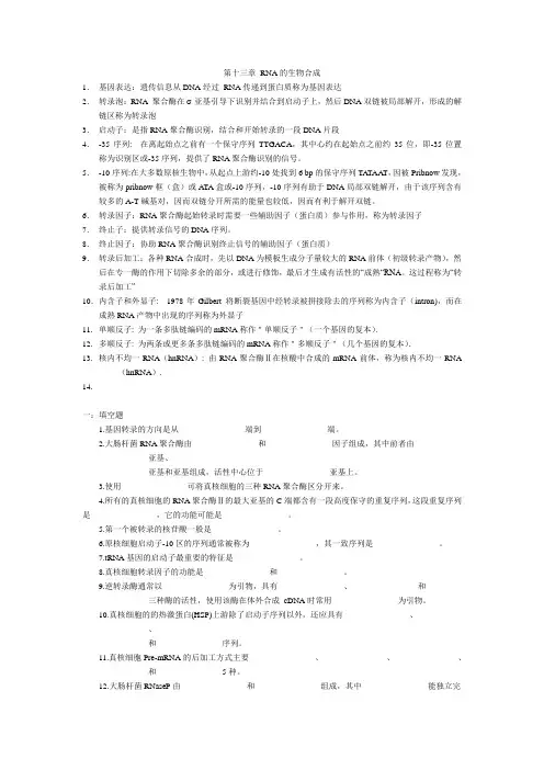 第22章 RNA的生物合成
