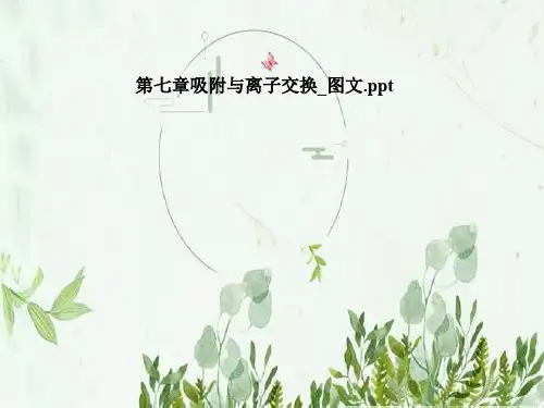 第七章吸附与离子交换_图文