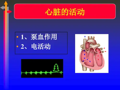 心电图基础知识 