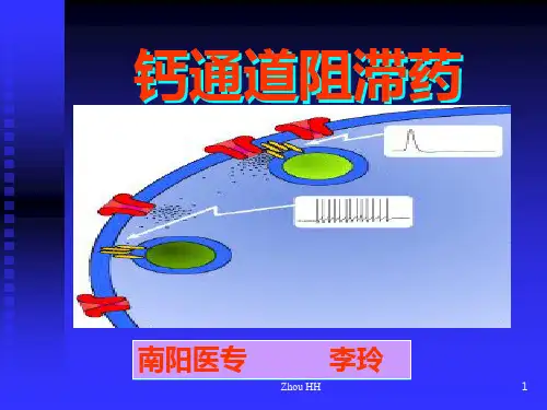 七钙通道阻断药PPT课件