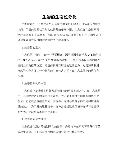 生物的生态位分化