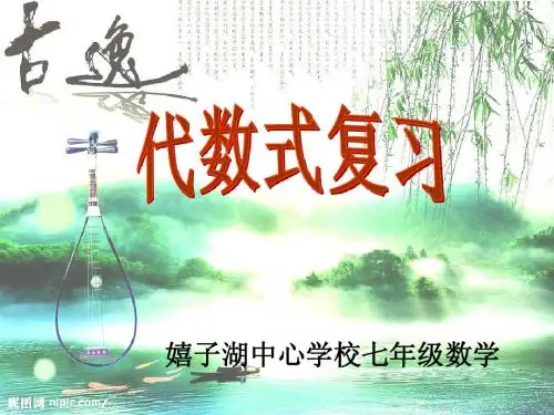 代数式复习
