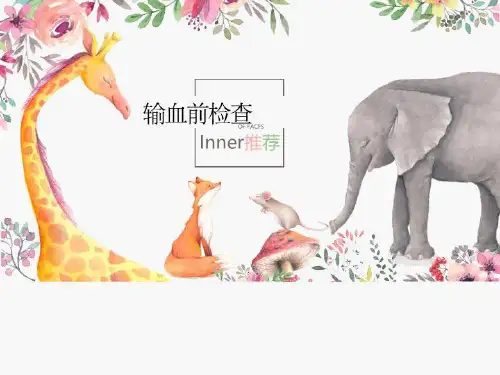 输血前检查