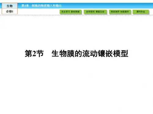 人教版高中生物必修一：4.2《生物膜的流动镶嵌模型》ppt课件