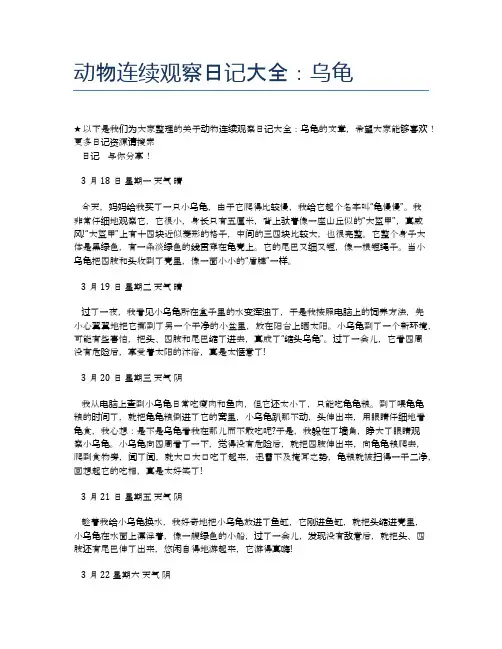 动物连续观察日记大全：乌龟