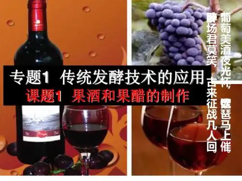 选修一课件：专题一课题1果酒和果醋的制作(共37张PPT)