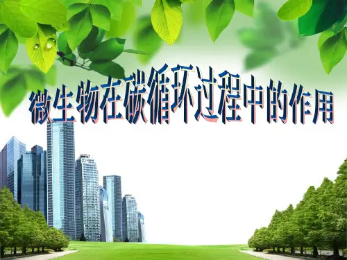 碳循环