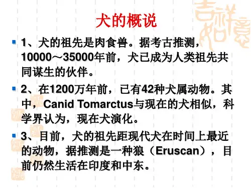 犬猫 品种介绍