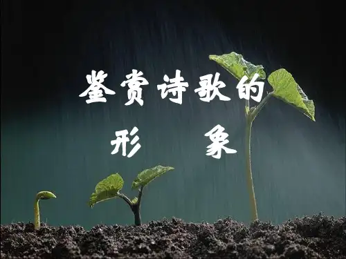 鉴赏诗歌的形象