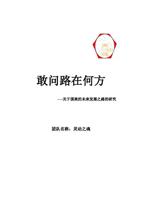 国美组织结构分析报告