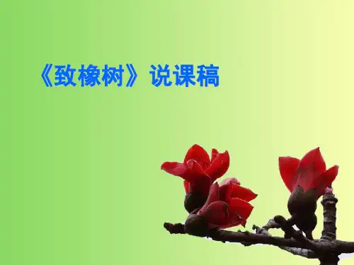致橡树说课稿