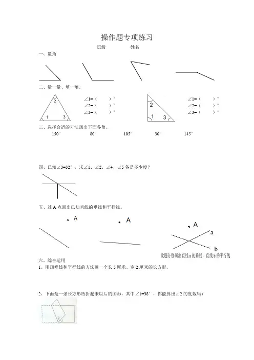 操作题专项练习