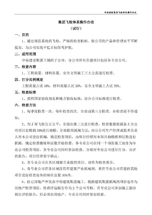 中南控股集团飞检体系操作办法(试行)