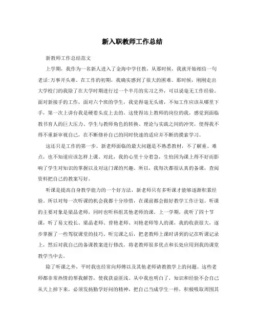 新入职教师工作总结