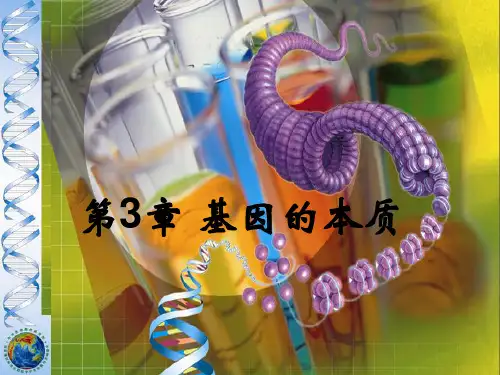 人教版必修二第三章+基因的本质+全章课件(共52张PPT)