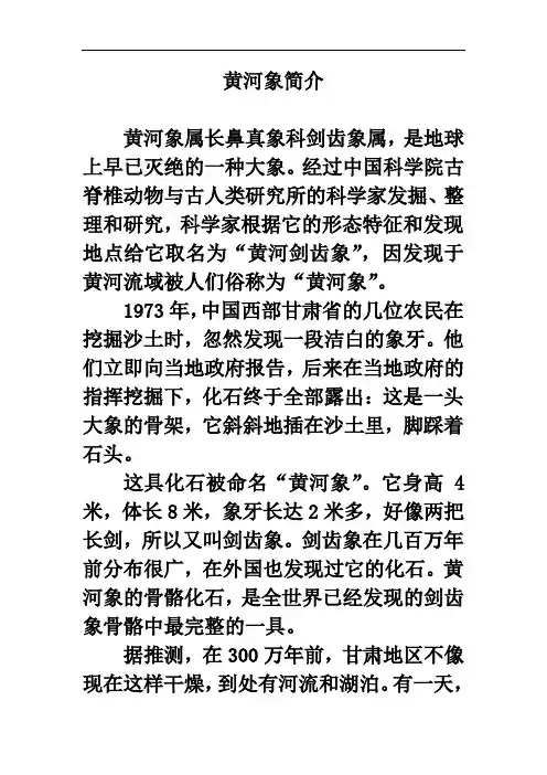 拓展阅读：黄河象简介