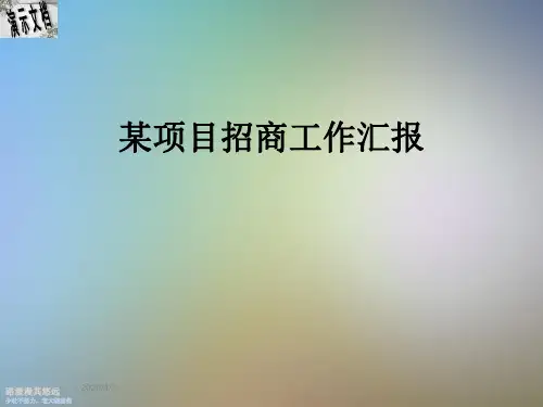 某项目招商工作汇报