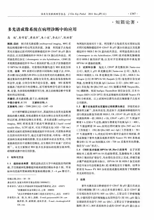 多光谱成像系统在病理诊断中的应用