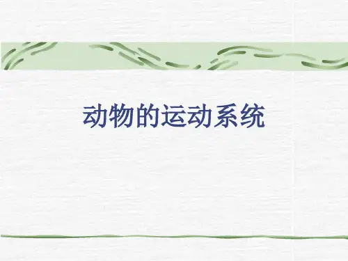 动物的运动系统
