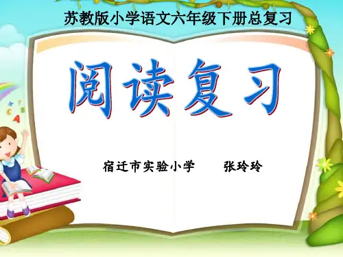 阅读理解专项复习