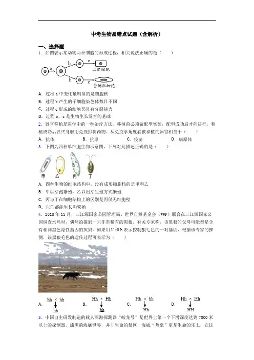 中考生物易错点试题(含解析)