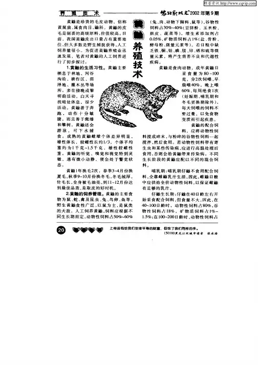 黄鼬养殖技术