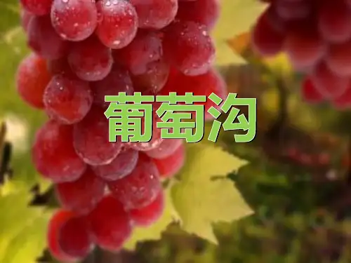 二级上册语文课件课文葡萄沟 人教部编版