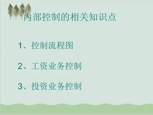 内部控制流程图与相关控制PPT课件( 38页)