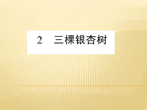 四年级上册语文课件 - 第2课 三棵银杏树 西师大版 (共10张PPT)