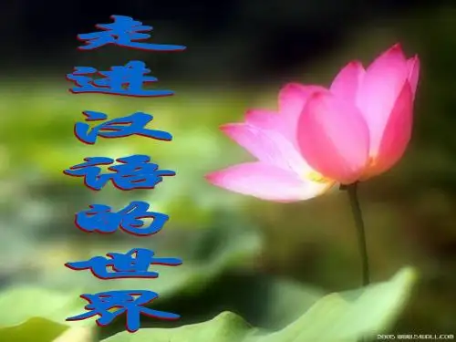第一课_走进汉语的世界