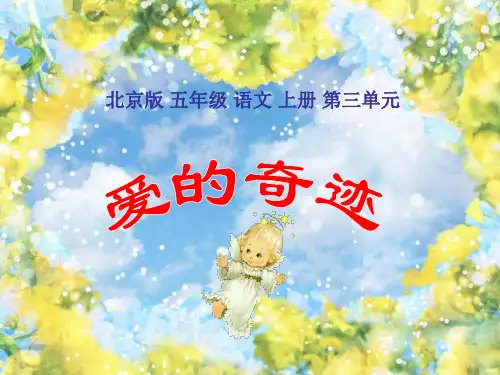 五年级语文爱的奇迹1(新编201910)